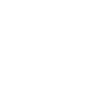 100+Global Projects Delivered