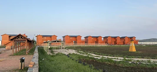 Zhangjiakou Homestay Project, Hebei Province (78 units) — 3