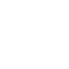 100+Global Projects Delivered